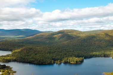 Quebec, Kanada 'da yemyeşil bir orman. Laurentian Dağları bölgesi. Sonbahar zamanı, renkli ağaçlar.