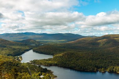 Quebec, Kanada 'da yemyeşil bir orman. Laurentian Dağları bölgesi. Sonbahar zamanı, renkli ağaçlar.