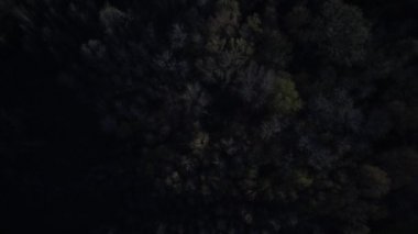 Gölde adalar ve tek bir tekne var, güneşin altında.