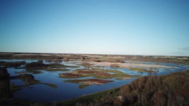 Baharda Kanada 'da bir bataklığın uzun otlarının üzerinde süzülüyordu.