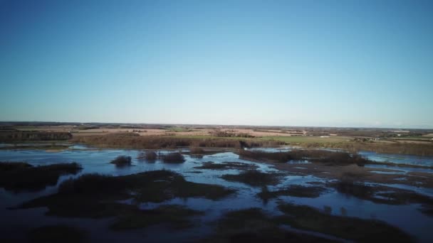 Gleiten über dem hohen Gras eines kanadischen Sumpfgebietes im Frühling — Stockvideo