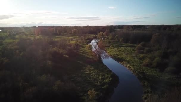 Un fiume poco profondo circondato dalle piante autunnali sul drone aereo prato girato — Video Stock