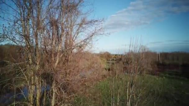 Gleiten über dem hohen Gras eines kanadischen Sumpfgebietes im Frühling — Stockvideo