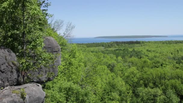 LANDSCAPE video de los desolladores bluff en la bahía georgiana canada, vista de los árboles en movimiento y las aves volando — Vídeos de Stock