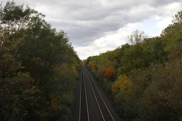 Sonbaharda ormanın ortasında tren rayları