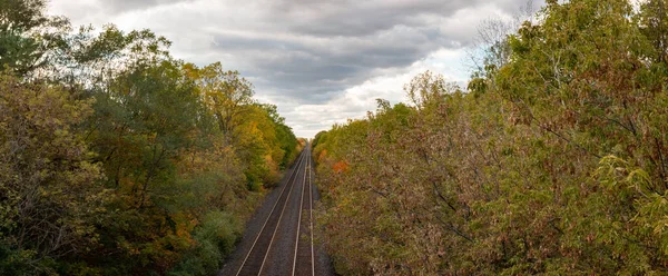 Sonbaharda ormanın ortasında tren rayları