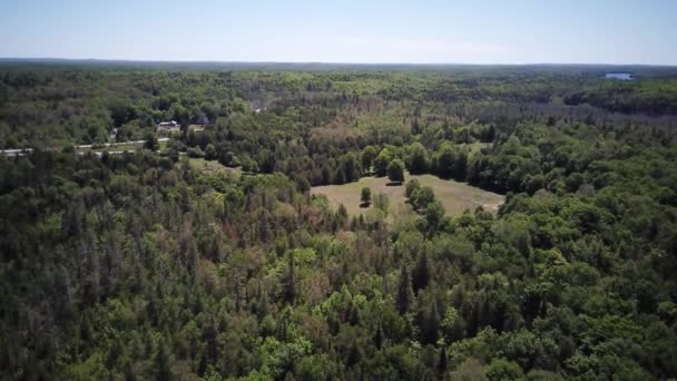 Imágenes de aviones no tripulados cerca del parque algonquin en Canadá — Vídeo de stock