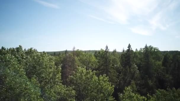 Incrível vista aérea de alta altitude sobre Round Lake em Bonnechere Provincial Park em Ontário, Canadá, enquanto a câmera se inclina para baixo — Vídeo de Stock