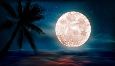 Free Free 50 Moon Over Water Svg SVG PNG EPS DXF File