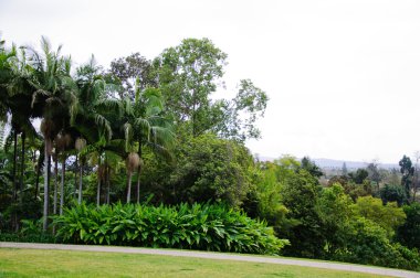 büyük kent park alanında yeşil çimen