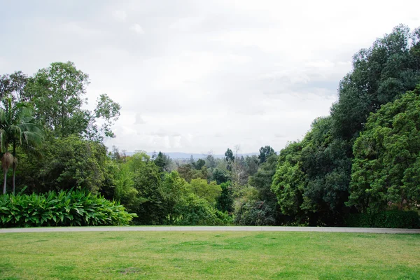 Πεδίο πράσινο γρασίδι στο πάρκο της μεγαλούπολης — Φωτογραφία Αρχείου
