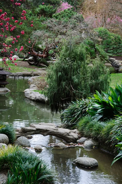 Kleine kreek in de chinese tuin in de lentetijd — Stockfoto