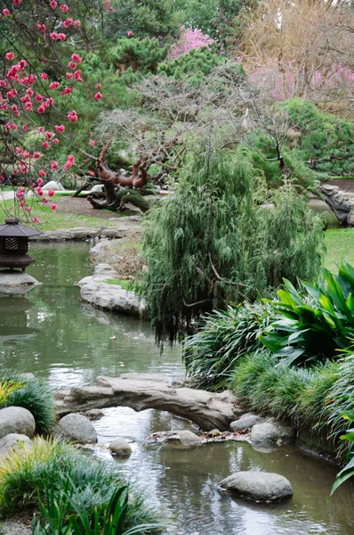 Petit ruisseau dans le jardin chinois au printemps — Photo