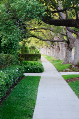 Kaldırıma California'daki beverly hillls