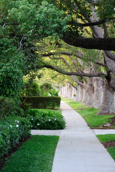 Sidewalk su colline di bevande in California — Foto Stock