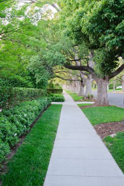 Kaldırıma California'daki beverly hillls