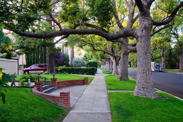 Тротуарі на Беверлі hillls в Каліфорнії Ліцензійні Стокові Фото