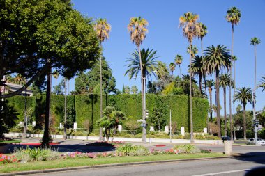 Kaldırıma California'daki beverly hillls