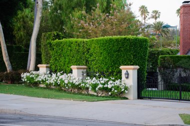 İçindedir ve Bahçe yolu ile ev