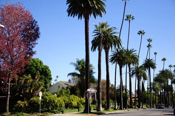 カリフォルニア州のビバリーヒルズ hillls の歩道 — ストック写真