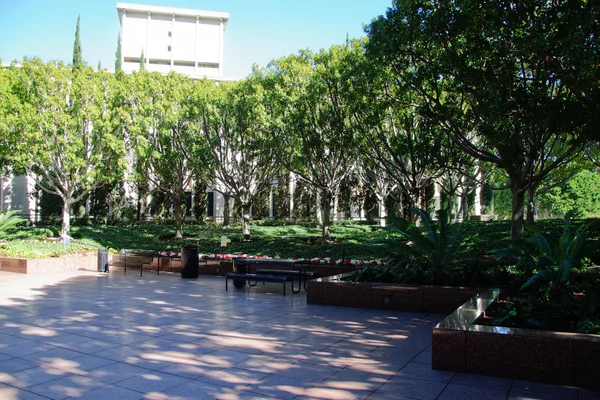 Parco cittadino con un moderno background edilizio a Los Angeles — Foto Stock