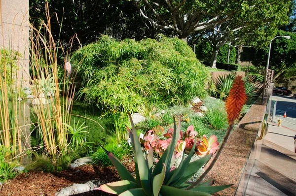 Stadspark met modern gebouw achtergrond in Los Angeles — Stockfoto