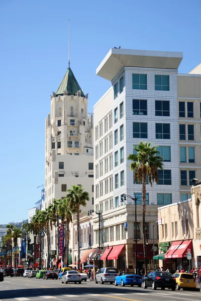 The view palm before building — Stock Photo, Image