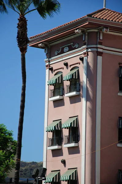 De weergave palm voordat gebouw — Stockfoto