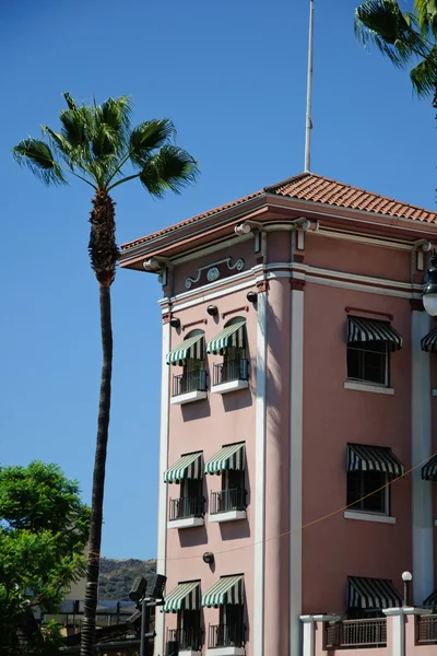 The view palm before building — Stock Photo, Image