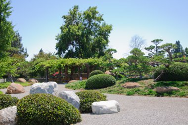 güzel bir Japon bahçe manzarası