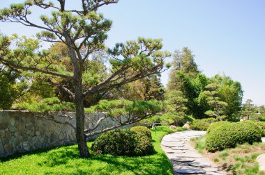 güzel bir Japon bahçe manzarası