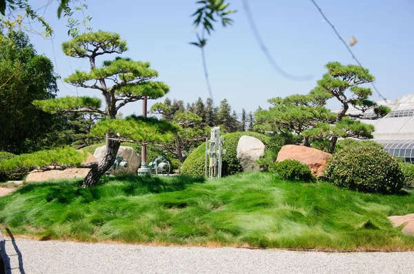 Vacker utsikt över japanska trädgården — Stockfoto