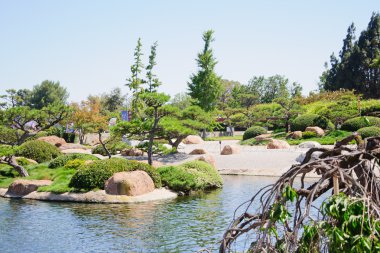 güzel bir Japon bahçe manzarası