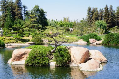 güzel bir Japon bahçe manzarası