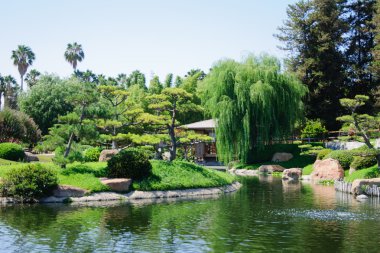 güzel bir Japon bahçe manzarası