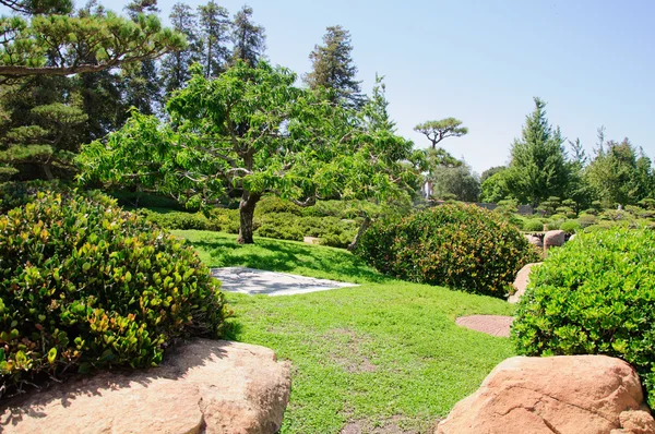 일본 정원의 아름 다운 전망 — 스톡 사진