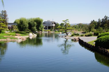 güzel bir Japon bahçe manzarası
