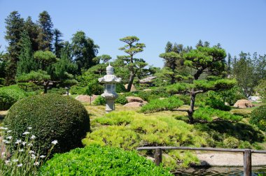 güzel bir Japon bahçe manzarası