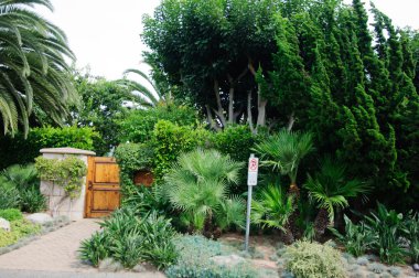 bazı güzel kesilmiş çalılar ve çiçekler