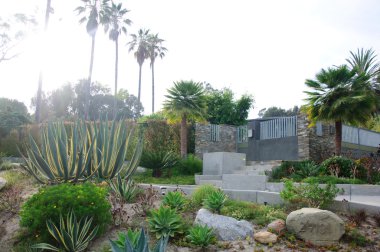 bazı güzel kesilmiş çalılar ve çiçekler