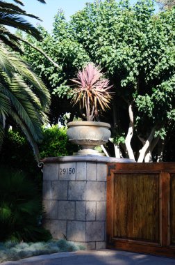 bazı güzel kesilmiş çalılar ve çiçekler