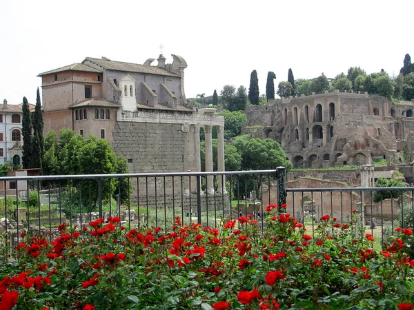 Roma, İtalya - 04 Mayıs 2013: Roma 'daki ünlü Roma Forumu veya Foro Roman Panoraması