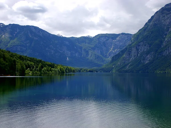 Beau Paysage Slovène Lac Bohinj Parc National Triglav Slovénie — Photo