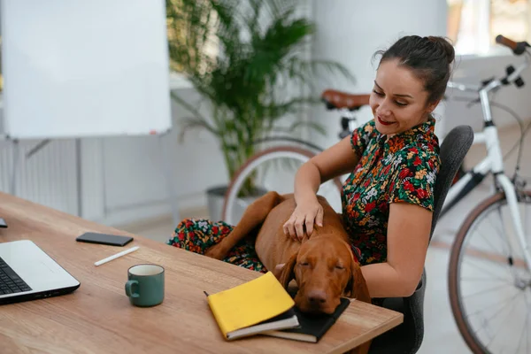 Pengusaha Wanita Muda Bermain Dengan Anjingnya Kantor — Stok Foto