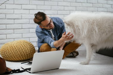 Adam dizüstü bilgisayarla çalışırken köpeğiyle yerde oynuyor. Samoe köpeğiyle oynayan adam..