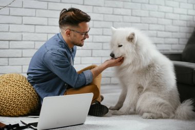 Adam dizüstü bilgisayarla çalışırken köpeğiyle yerde oynuyor. Samoe köpeğiyle oynayan adam..