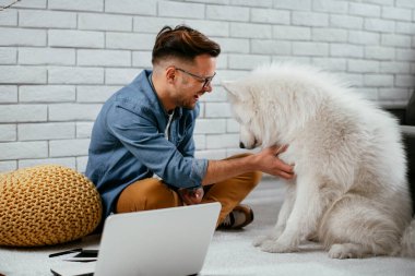 Adam dizüstü bilgisayarla çalışırken köpeğiyle yerde oynuyor. Samoe köpeğiyle oynayan adam..