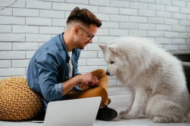 Adam dizüstü bilgisayarla çalışırken köpeğiyle yerde oynuyor. Samoe köpeğiyle oynayan adam..