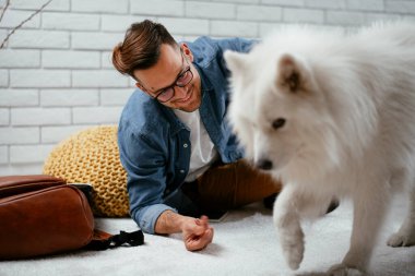 Adam dizüstü bilgisayarla çalışırken köpeğiyle yerde oynuyor. Samoe köpeğiyle oynayan adam..