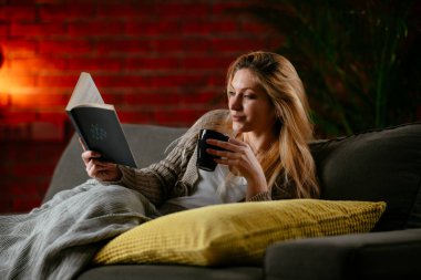 Evdeki kanepede kitap okuyan güzel bir kız. Rahat bir dairede kitap okuyan bir kadın..